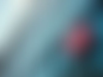 Top Life Insurance Companies to Consider