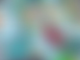 β¨ Favorite New Finds β¨