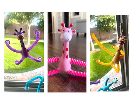 π Sensory Fidget Toy π