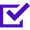 チェックボックスアイコン (1).png