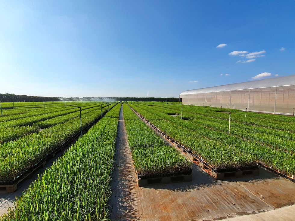 20190823_153151 (1).jpg