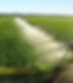 AdobeStock_566937425.jpeg