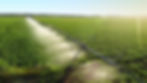 AdobeStock_566937425.jpeg