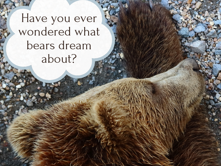 The Love Trap (A Poem)