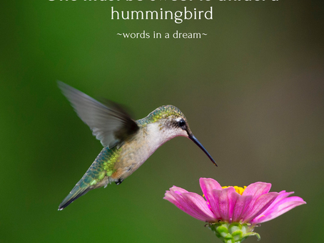Hummingbirds