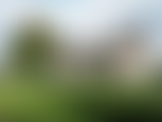 Recurring Dream - The Manor Home