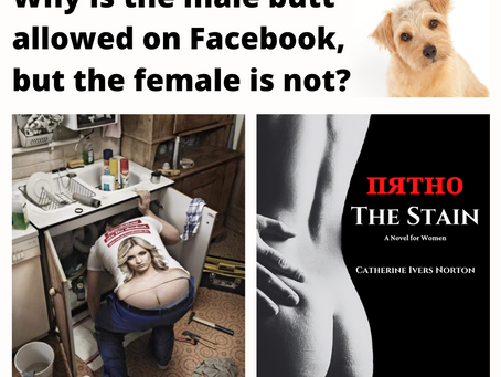 Reflections from Facebook Jail