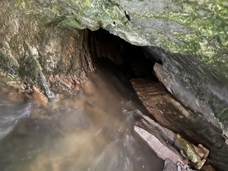 Teen Boys Hope Gruesome Pleasant View Discovery Helps 'Solve a Case'