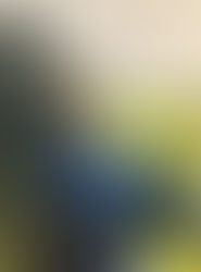 Obituary: Ashton Cole Smith, 22