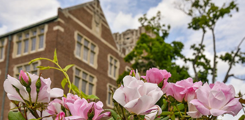 Spring Dean UT Knoxville Spring Dean's List Includes 25 Cheatham County Students