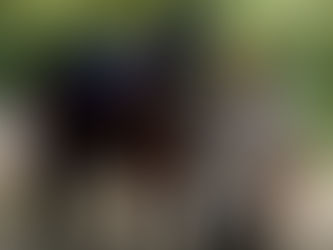 Obituary: Richard Howell Parrish, 70