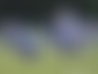 Cubs Fall to Indians in Battle of Sams Creek