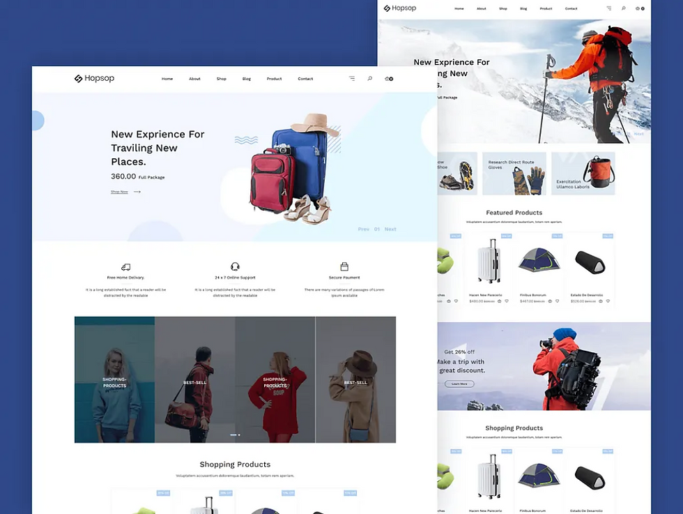 travel accessories shopify store.PNG