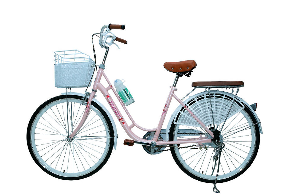 Hình thu nhỏ: Xe đạp Trendy T