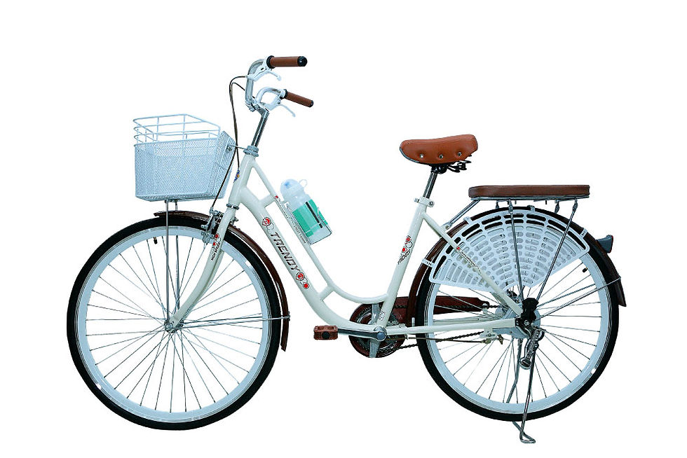 Hình thu nhỏ: Xe đạp Trendy T
