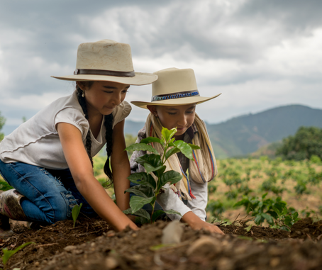 A Journey of Reflection: My Childhood Perspective of Tu Bishvat