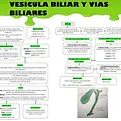 Enfermedades de las vías biliares.webp