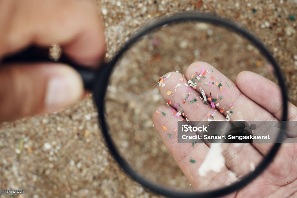 Microplásticos by Pexels