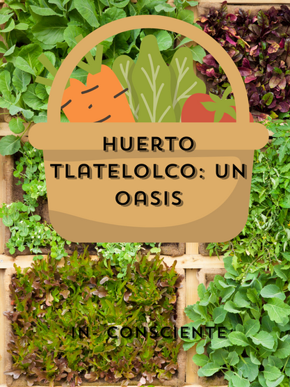 Huerto tlatelolco: un oasis