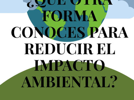 ¿Como reducir el impacto ambiental?