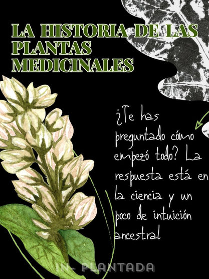 Plantas medicinales