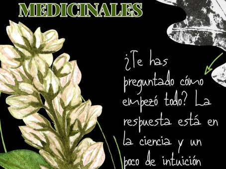 Plantas medicinales