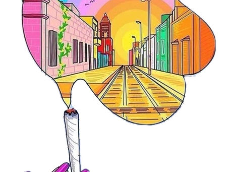 Beneficios y riesgos sobre el Cannabis