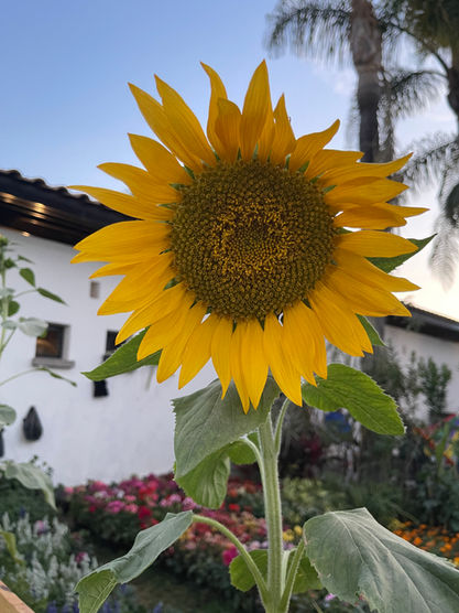 El valor de la naturaleza