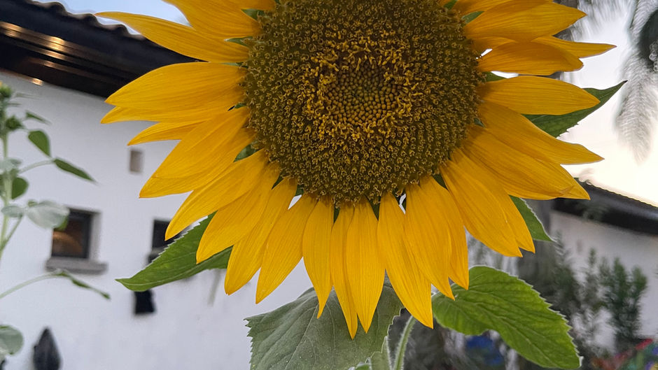 El valor de la naturaleza