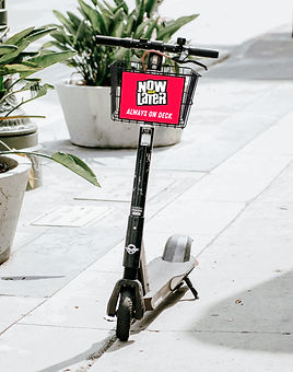 Bird basket on scooter-01.jpg