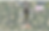 Screenshot 2025-07-14 at 5.24.26 PM.png