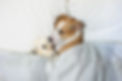shutterstock_1181348773 salpende woef.jpg
