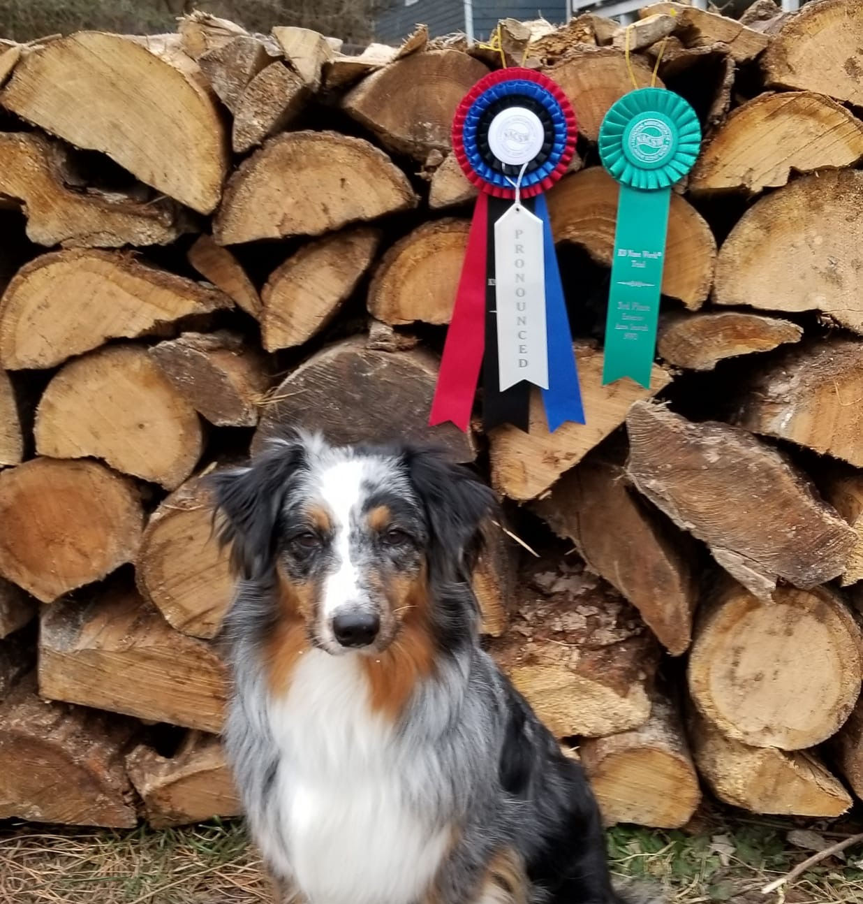 TRIAL PREP @ Kamp Kitty (7PM)