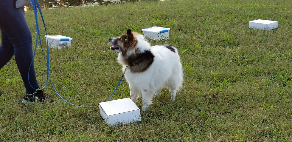 ADVANCED TRAIL PREP 2 (6:30PM)