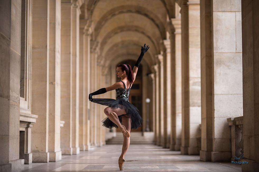 Louvre Passe Cara Chapman