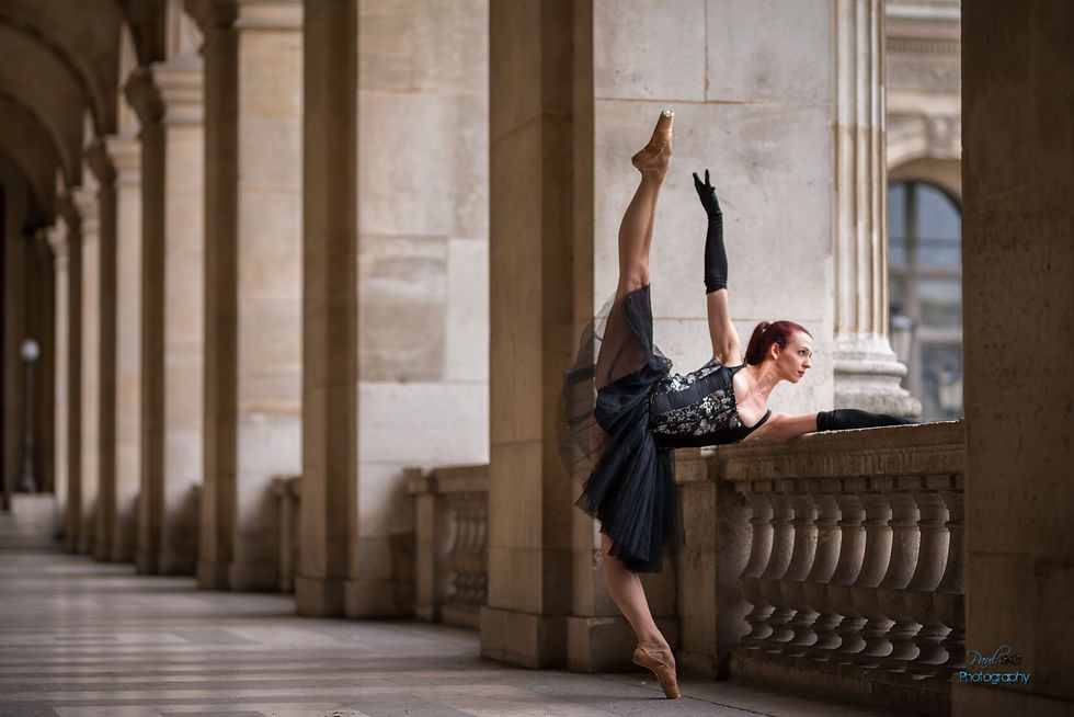 Louvre Tilt Cara Chapman