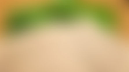 PCプログラム