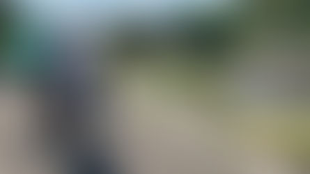 チームmeray に支えていただいた、就職活動