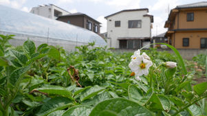 とある利用者のとある一日