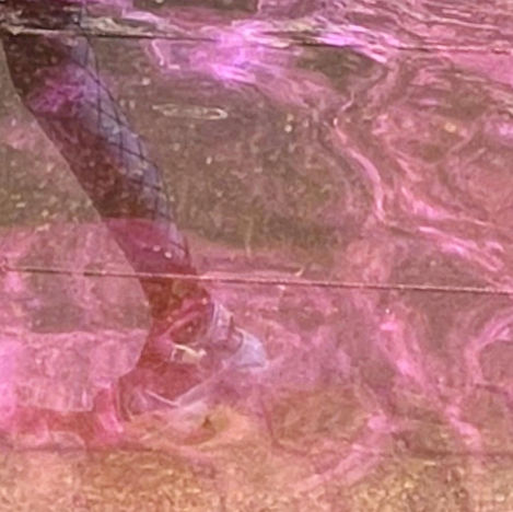 reflections