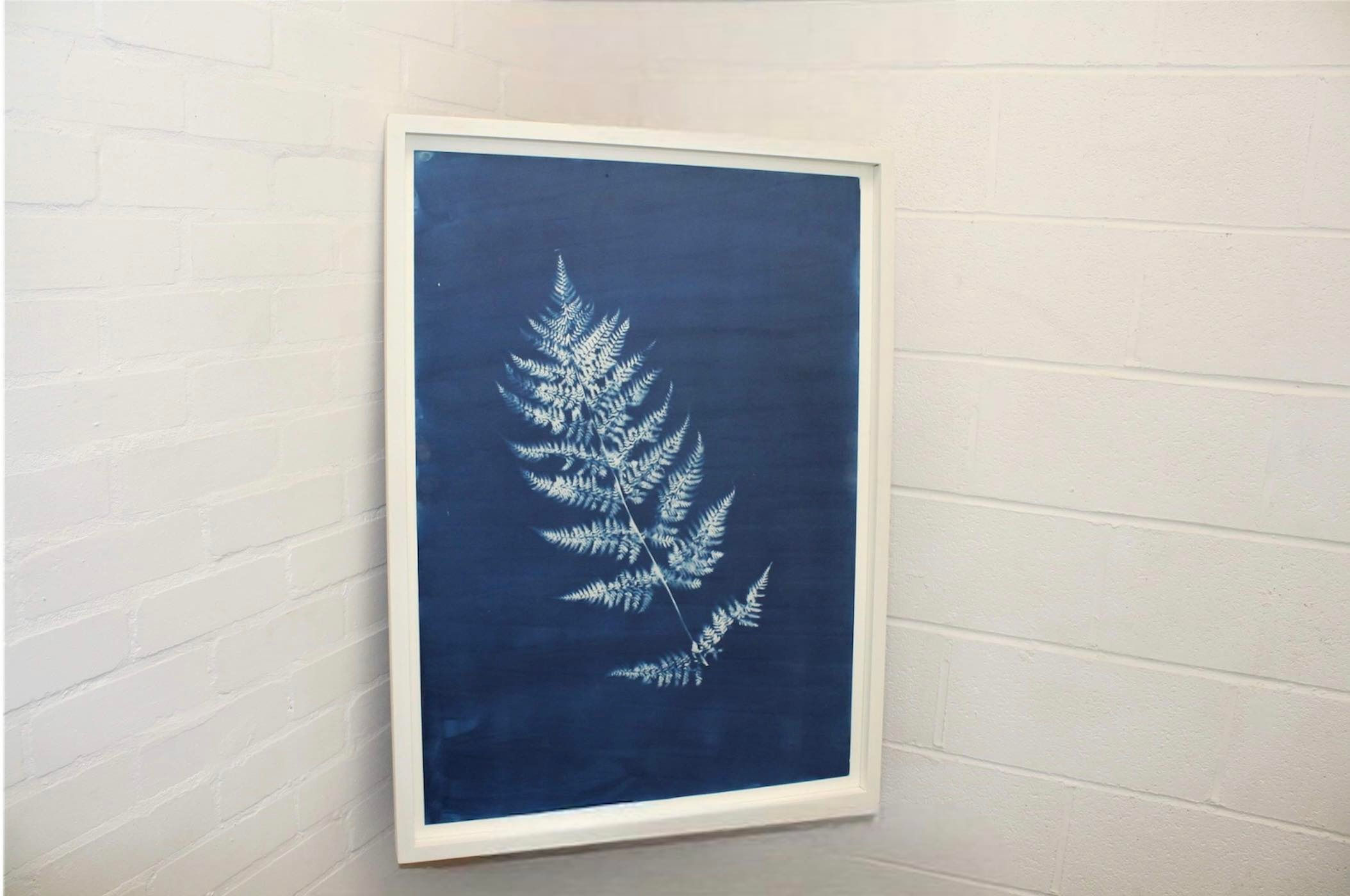 Framed Single Fern Cyanotype Print
