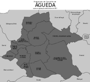 agueda freg.png