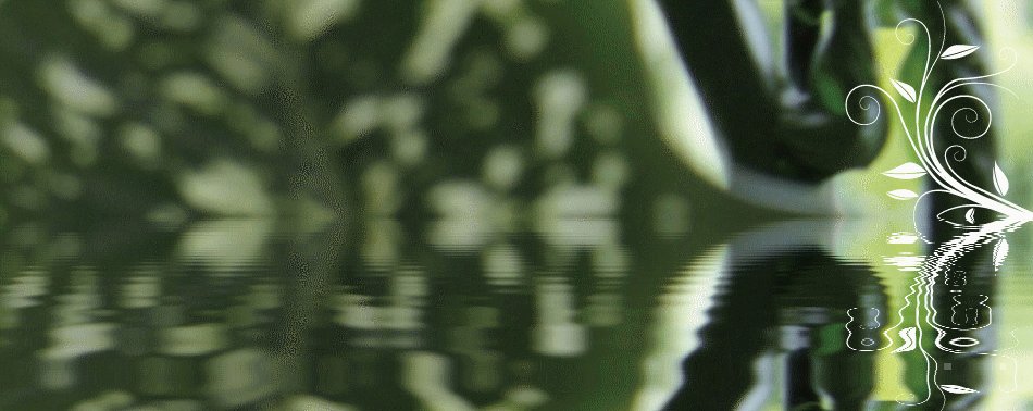 ヘッダー水.gif
