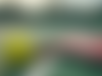 Benefícios do Treinamento Físico no Pickleball