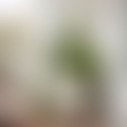 A small urban balcony corner styled in a soft, modern botanical aesthetic. One large off-white or pale stone ceramic pot with a smooth matte finish, placed neatly in the corner. The container is planted with fresh culinary herbs: tall upright rosemary providing height, medium sage and soft basil adding volume, and low trailing thyme gently spilling over the edge of the pot