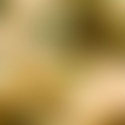 Garden-Inspired Essential Oil Simmer Pot Recipes for a Naturally Fresh Home