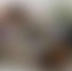 Flat lay of a mortar and pestle with small amount of crushed dried herbs (lavender, rose petals, rosemary) on a clean, modern white background. Nearby, small bowls with whole herbs, star anise, cinnamon sticks, and loose resins (like frankincense)