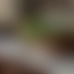 a marble kitchen counter with a wicker basket filled with nettle, thyme