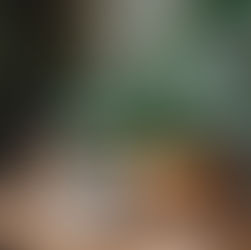 Epsom Salt for Plants: The Secret to Greener Leaves, Bigger Blooms & Better Roots