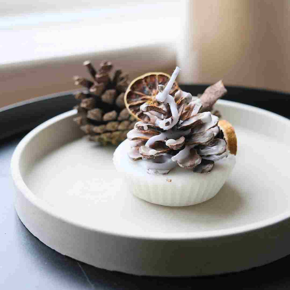 A pine cone firestarter dipped in wax and embellished with a dried slice of lemon and a piece of cinnamon bark displayed on a grey concrete tray